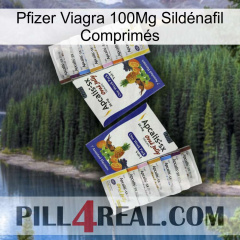 Pfizer Viagra 100Mg Sildénafil Comprimés 12